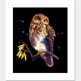 Ruru / Morepork - native bird of Aotearoa (New Zealand) Posters and Art